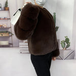 2021 New Fur Coat Women Winter High Quality Fashion Faux Fur Coat Artificial Fox Short Jacket RT220