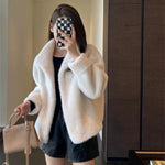2024 Women Solid Color Stand Collar Mink Fur Top Female Long Sleeves Fox Fur Jacket Spring Autumn Lady Short Leather Fur Outwear RT220