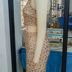 Sexy women's dress sequin halter sleeveless backless sequin evening dresses woman elegant party dresses cocktail prom dress XY15 RT220