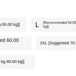 Spliced fake Two-piece Polo Collar Suit Shirt for Women in Summer Loose and Versatile Slim Top RT220