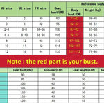 Women's Winter Warm Imitation Mink Fur Jacket Fashionable And Casual Style RT220